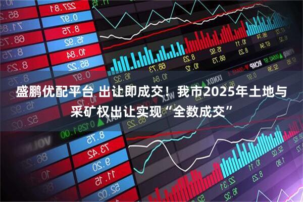 盛鹏优配平台 出让即成交！我市2025年土地与采矿权出让实现“全数成交”