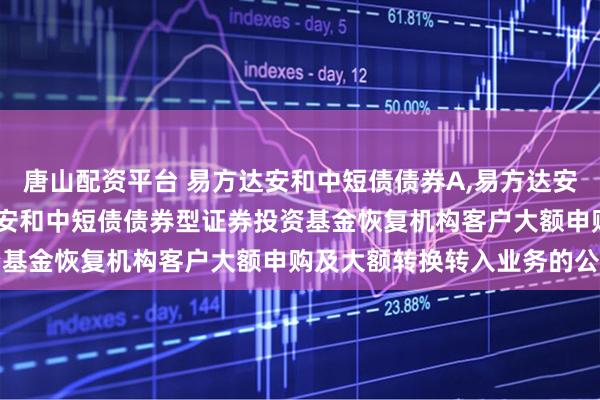唐山配资平台 易方达安和中短债债券A,易方达安和中短债债券C: 易方达安和中短债债券型证券投资基金恢复机构客户大额申购及大额转换转入业务的公告