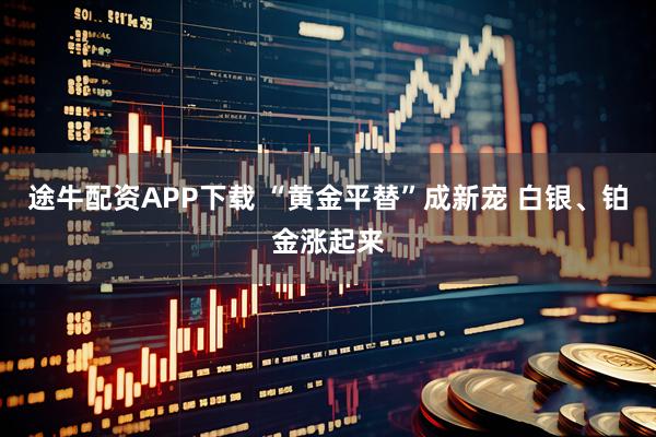途牛配资APP下载 “黄金平替”成新宠 白银、铂金涨起来
