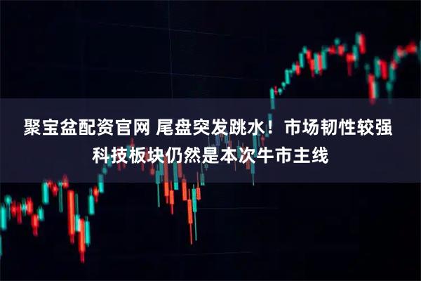 聚宝盆配资官网 尾盘突发跳水！市场韧性较强 科技板块仍然是本次牛市主线